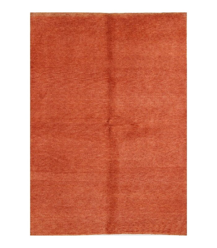 IMG_0022 Modern Designer Teppich 244 x 174 cm Nr 110